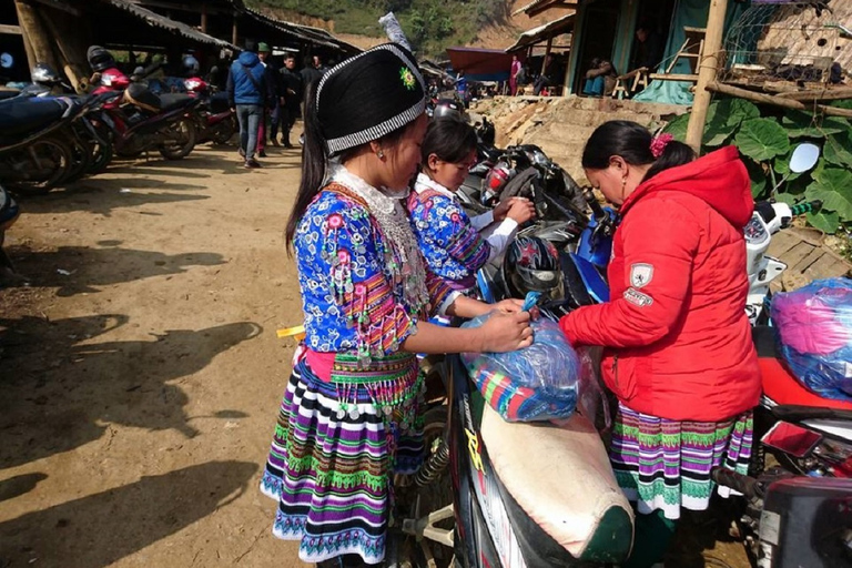 Van Hanoi: 2-daagse Sapa-trekking naar dorp en bungalow