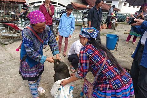 De Hanói: Sapa Trekking de 2 dias até a vila e bangalô