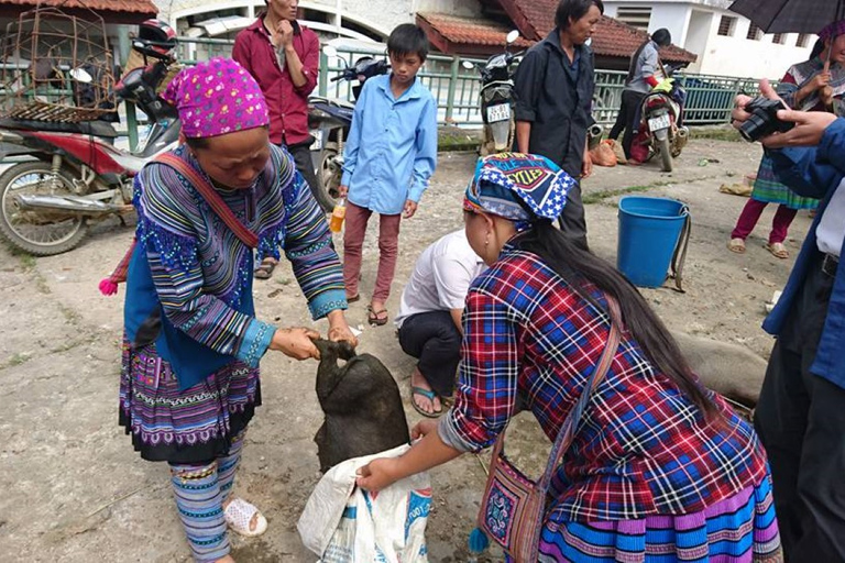 De Hanói: Sapa Trekking de 2 dias até a vila e bangalô