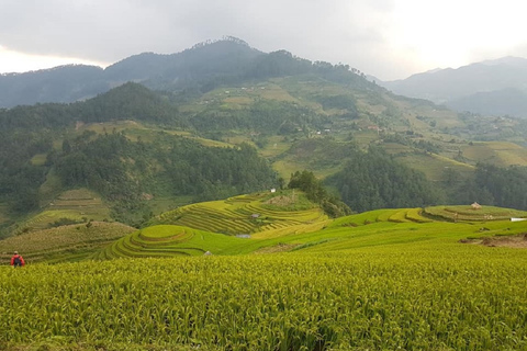 Från Hanoi: 2 dagars vandring i Sapa till en by och en bungalow