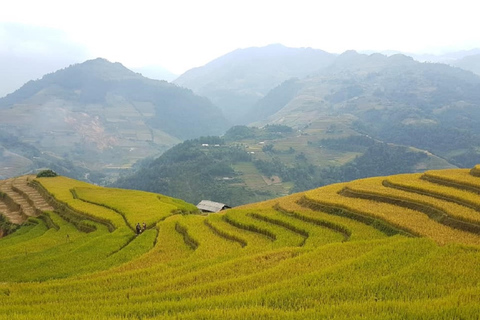 Da Hanoi: 2 giorni di trekking Sapa al villaggio e al bungalow