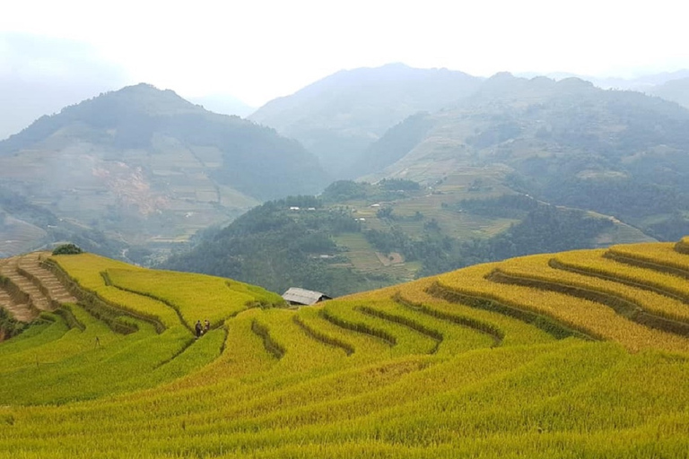 Van Hanoi: 2-daagse Sapa-trekking naar dorp en bungalow