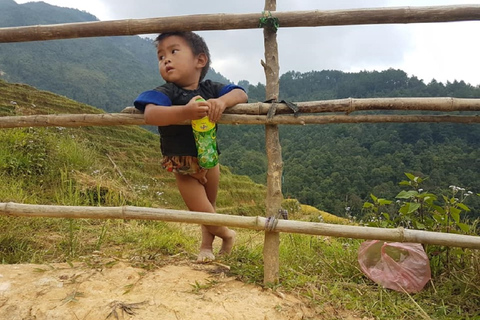 De Hanói: Sapa Trekking de 2 dias até a vila e bangalô