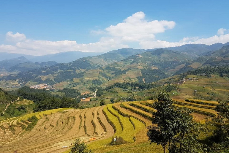 De Hanói: Sapa Trekking de 2 dias até a vila e bangalô