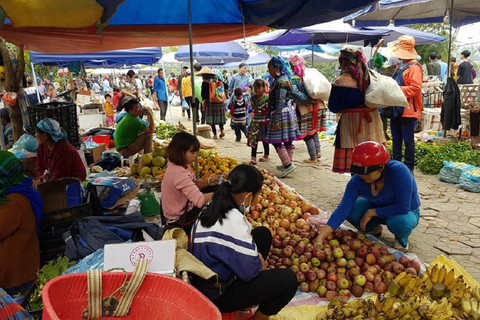 Z Hanoi: 2-dniowy trekking Sapa do wioski i bungalowu