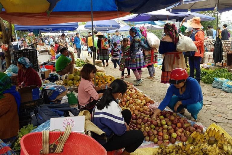 Von Hanoi aus: 2 Tage Sapa Trekking zu Dorf und Bungalow