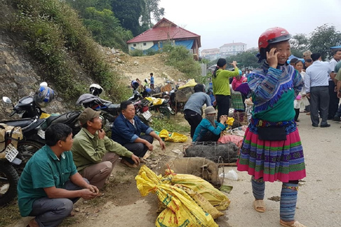 Från Hanoi: 2 dagars vandring i Sapa till en by och en bungalow