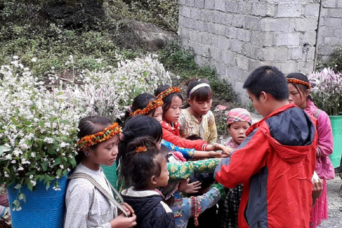 Van Hanoi: 2-daagse Sapa-trekking naar dorp en bungalow