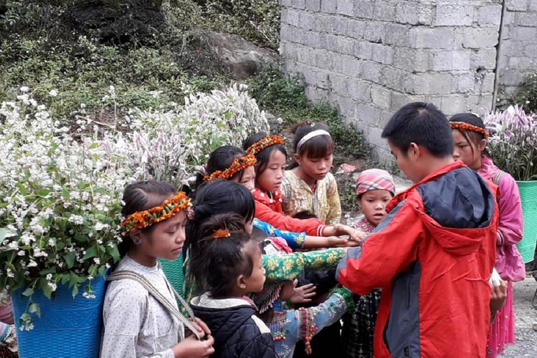 Au départ de Hanoi : 2 jours de trekking à Sapa vers un village et un bungalow.