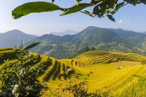 Van Hanoi: 2-daagse Sapa-trekking naar dorp en bungalow