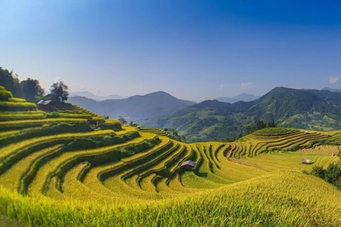 Van Hanoi: 2-daagse Sapa-trekking naar dorp en bungalow