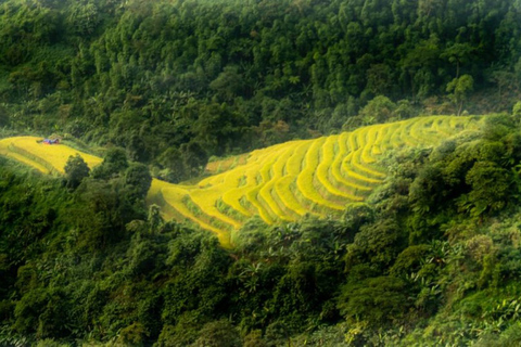 Van Hanoi: 2-daagse Sapa-trekking naar dorp en bungalow