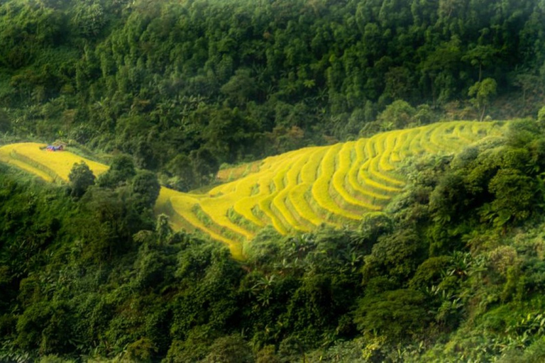 Au départ de Hanoi : 2 jours de trekking à Sapa vers un village et un bungalow.