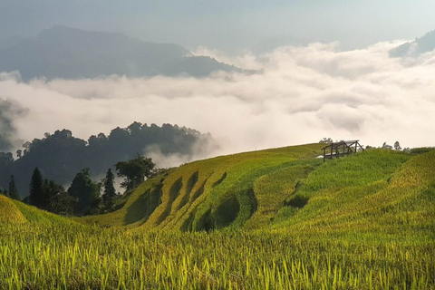 Från Hanoi: 2 dagars vandring i Sapa till en by och en bungalow