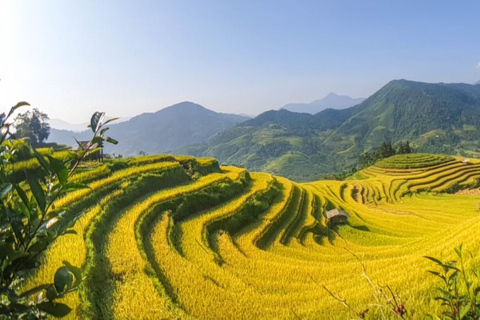 De Hanói: Sapa Trekking de 2 dias até a vila e bangalô