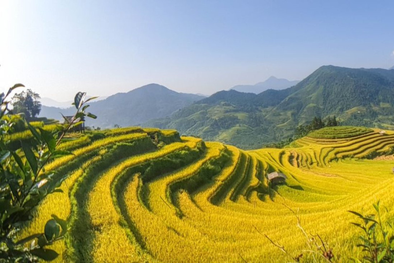 Desde Hanoi: Trekking de 2 días por Sapa hasta la aldea y el bungalow