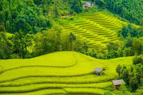 Van Hanoi: 2-daagse Sapa-trekking naar dorp en bungalow