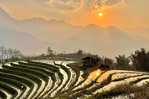 Från Hanoi: 2 dagars vandring i Sapa till en by och en bungalow