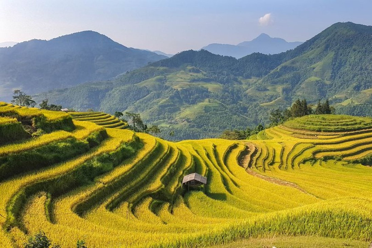 Au départ de Hanoi : 2 jours de trekking à Sapa vers un village et un bungalow.