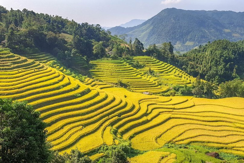 Desde Hanoi: Trekking de 2 días por Sapa hasta la aldea y el bungalow