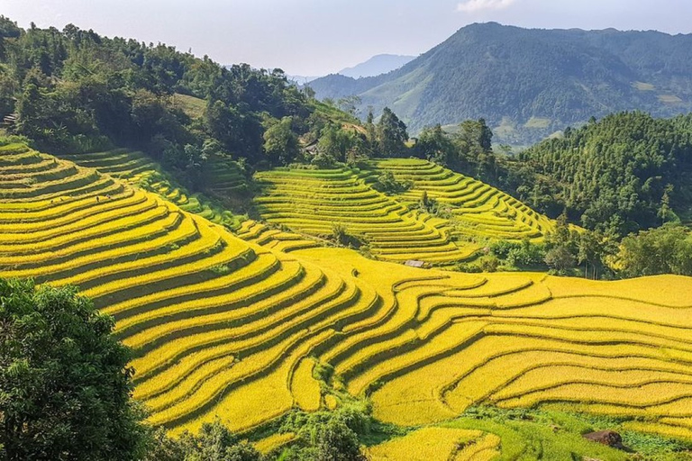 De Hanói: Sapa Trekking de 2 dias até a vila e bangalô