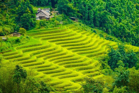 De Hanói: Sapa Trekking de 2 dias até a vila e bangalô