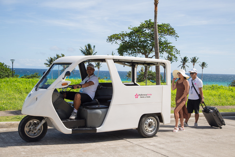 Boracay : Transfert partagé de/à MPH pour les passeports domestiques