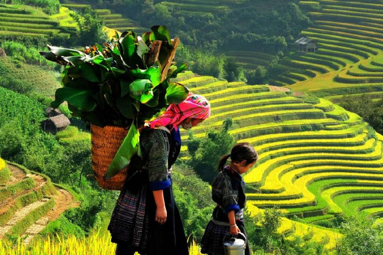 De Hanói: Sapa Trekking de 2 dias até a vila e bangalô