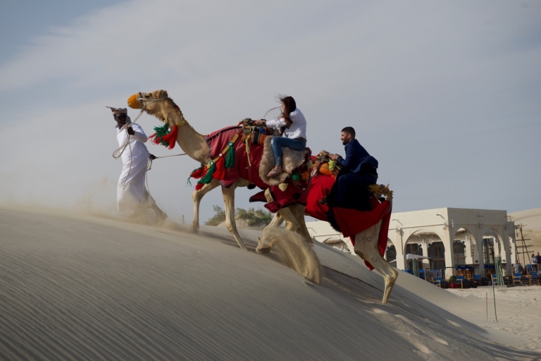 Z Doha: Całodniowe pustynne safariCałodniowe safari na pustyni