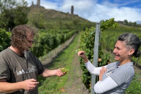 Tsjechische wijngaarden en wijnproeverij off-road tour vanuit Praag
