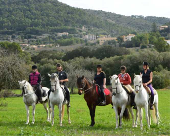 Майорка: конная экскурсия с гидом по долине Ранда