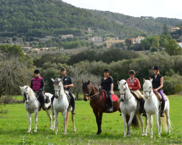 Visit Mallorca Guided Horseriding Tour of Randa Valley in Palma de Mallorca