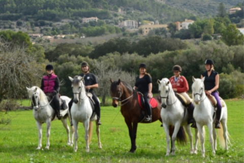 Mallorca: Horse Riding Tour Through Randa Valley Mallorca: Horse Riding Tour Through Randa's Valley