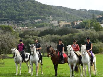 Mallorca: Excursión guiada a caballo por el Valle de Randa
