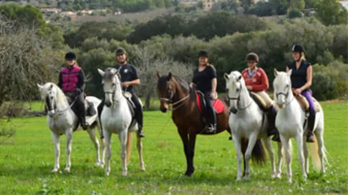 Mallorca: Guided Horseriding Tour of Randa Valley