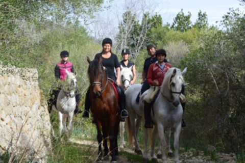 Mallorca: Reiten im Randa's Valley Erlebnis