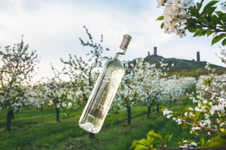 Czech Vineyards and Wine Tasting 4WD Tour with Lunch