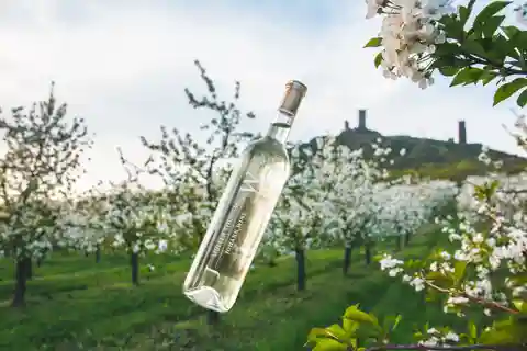 Tschechische Weinberge und Weinprobe im Geländewagen mit Mittagessen