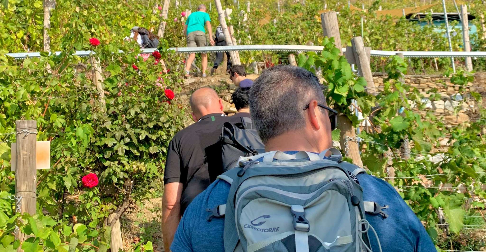 Vernazza, Panoramic Vineyard Trekking Tour w/ Wine Tasting - Housity