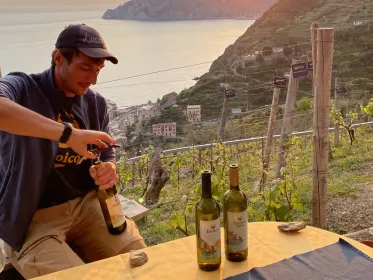Vernazza: Panorama-Weinberg Trekking Tour mit Weinverkostung
