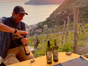 Vernazza: Trekking panoramico dei vigneti con degustazione di vini