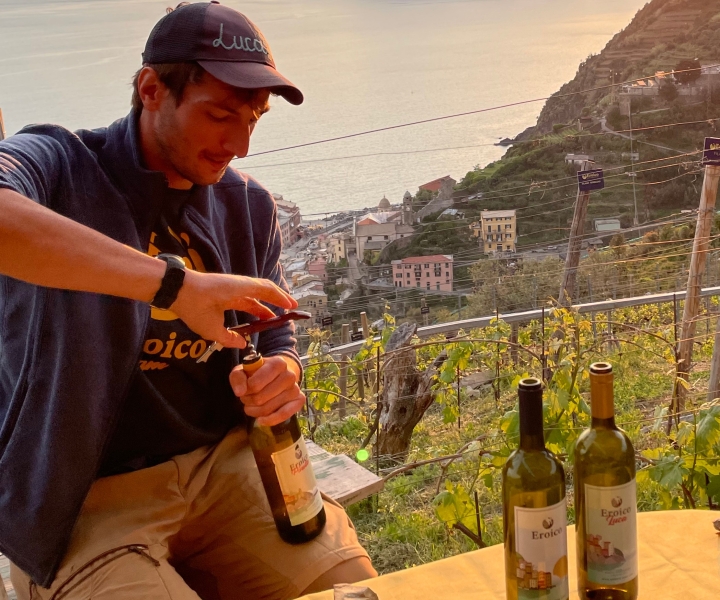 Vernazza: tour panoramico di trekking tra i vigneti con degustazione di vini