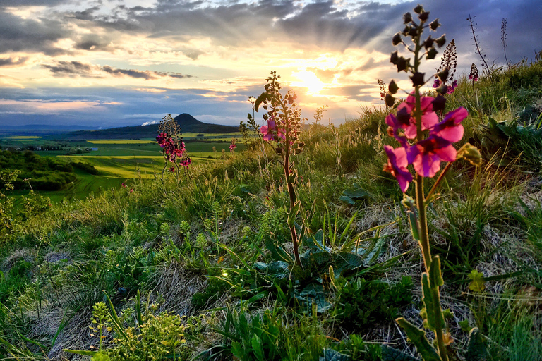 Offroad-Tour zu tschechischen Weinbergen und Weinproben ab Prag