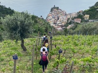 Vernazza, gira de trekking de viñedo panorámico con degustación de vinos - Housity
