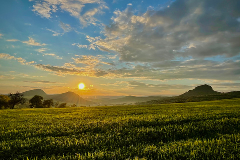 Offroad-Tour zu tschechischen Weinbergen und Weinproben ab Prag