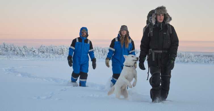 Kiruna Snowshoe Hike & Ice fishing Tour GetYourGuide