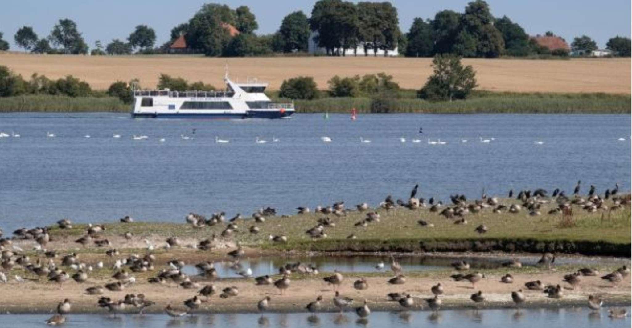 Wismar, croisière dans le port - Hizvo