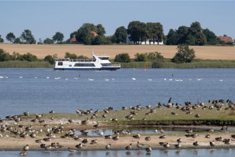 Wismar: Rejs widokowy po porcie