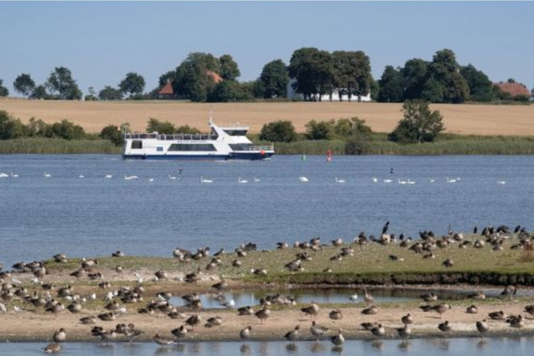 Wismar: Rejs widokowy po porcie