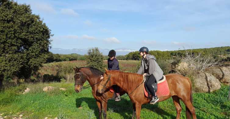 Mallorca: Historical Horse Ride Tour in Randa with Guide | GetYourGuide